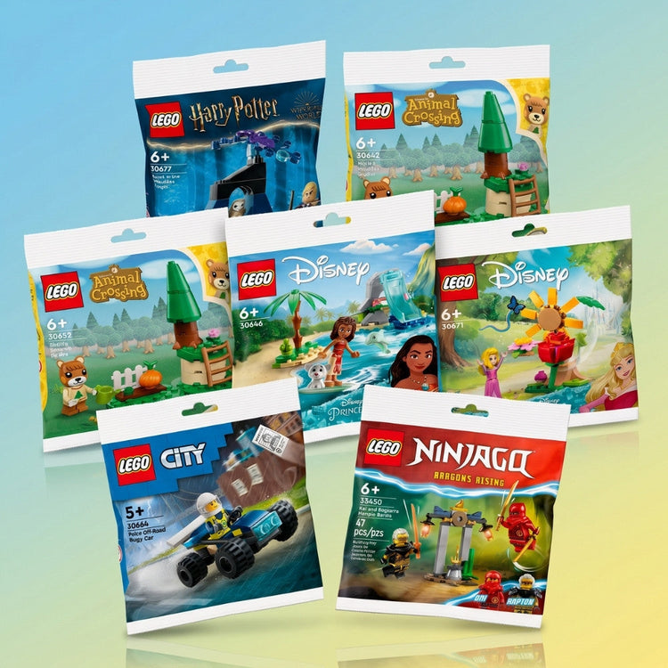 LEGO® Polybag kopen | LEGO® Polybag Star Wars, NINJAGO en meer