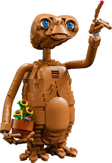 Set 21370-1