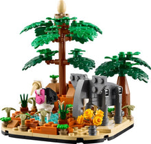 Set 40784-1