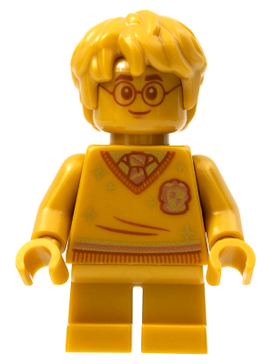 Minifig hp284