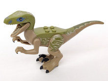 Part raptor06